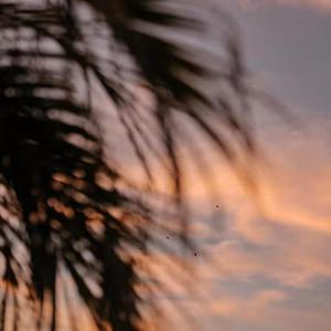 成人免费淫片95视频观看网站
